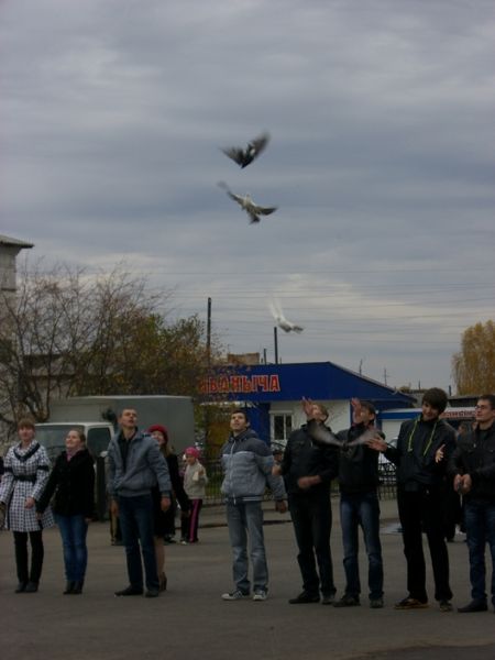 Изображения.